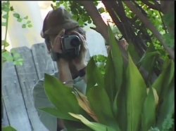 Captura de 'Video Adventures of Peeping Tom 10' nº 99