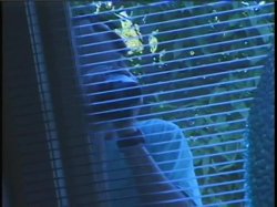 Captura de 'Video Adventures of Peeping Tom 10' nº 118