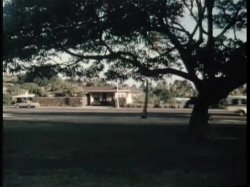 'Oriental Hawaii' screenshot nº 47
