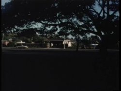'Oriental Hawaii' screenshot nº 54