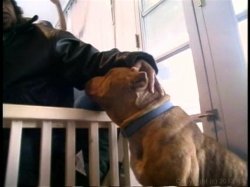 'Snoop Dogg's Doggystyle' screenshot nº 46