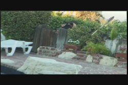 'Video Adventures of Peeping Tom 15' screenshot nº 107