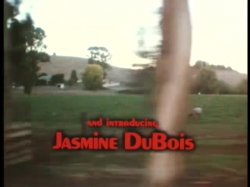 'Wild Dallas Honey' screenshot nº 4