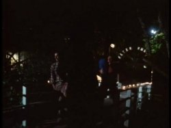 'Wild Dallas Honey' screenshot nº 68