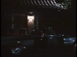 'Wild Dallas Honey' screenshot nº 70