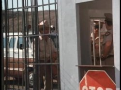 'Wild Dallas Honey' screenshot nº 8