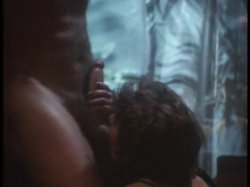'Wild Dallas Honey' screenshot nº 82