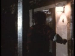 'Wild Dallas Honey' screenshot nº 91