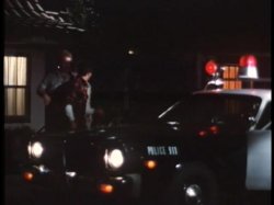 'Wild Dallas Honey' screenshot nº 94