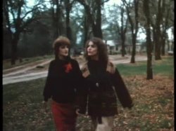 'Wild Dallas Honey' screenshot nº 96