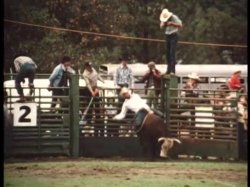 'Wild Dallas Honey' screenshot nº 99