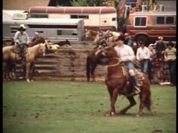 'Wild Dallas Honey' screenshot nº 101