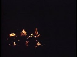 'Wild Dallas Honey' screenshot nº 103