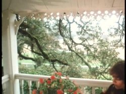 'Wild Dallas Honey' screenshot nº 104