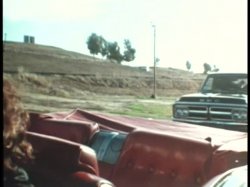 'Wild Dallas Honey' screenshot nº 122