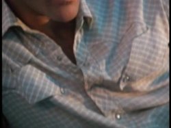 'Wild Dallas Honey' screenshot nº 13