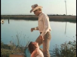 'Wild Dallas Honey' screenshot nº 15