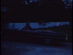 'Wild Dallas Honey' screenshot nº 18