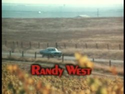 'Wild Dallas Honey' screenshot nº 3