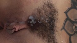 Captura de 'Axel Braun's Bush' nº 119