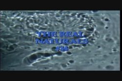 Captura de 'Real Naturals 14' nº 1