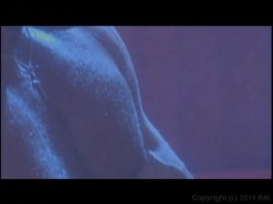 'Like Lovers Do' screenshot nº 58