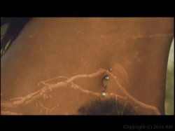 'Like Lovers Do' screenshot nº 11