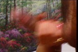 Captura de 'Pussyman's International Butt Babes 3' nº 47