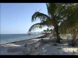 'Private Tropical #40 - Boroka Does The Caribbean' screenshot nº 1