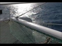 'Private Tropical #40 - Boroka Does The Caribbean' screenshot nº 2