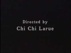 'That Darn Trannie' screenshot nº 1