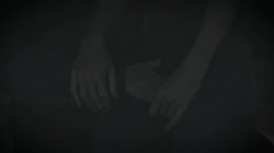 Captura de 'Trailer Park Taboo, A' nº 54