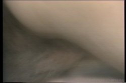 'Backdoor Lambada' screenshot nº 29