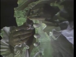 'The Seka Story' screenshot nº 3