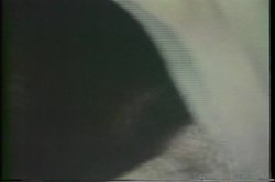 Captura de 'Monster Black Cocks' nº 20