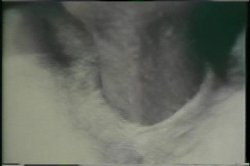 Captura de 'Monster Black Cocks' nº 26