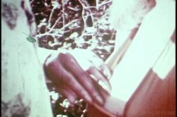 Captura de 'Monster Black Cocks' nº 64