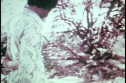 Captura de 'Monster Black Cocks' nº 66
