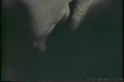 Captura de 'Monster Black Cocks' nº 16