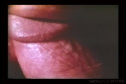 Captura de 'Teenage Anal Eruptions' nº 95