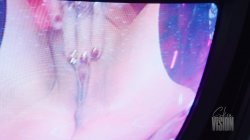 'Bimbo Bunny Hole Cam' screenshot nº 21