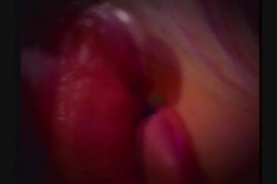 'Club, The' screenshot nº 67
