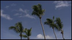 Captura de 'Sex & Lies in the Caribbean' nº 1