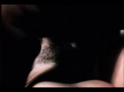 'Sweet Taste of Honey' screenshot nº 40