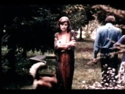 'Sweet Taste of Honey' screenshot nº 47