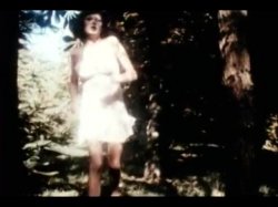 'Sweet Taste of Honey' screenshot nº 50