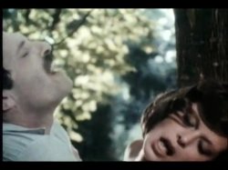 'Sweet Taste of Honey' screenshot nº 53