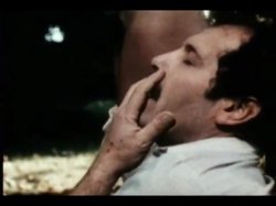'Sweet Taste of Honey' screenshot nº 54