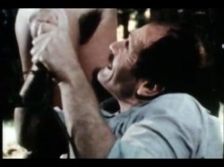 'Sweet Taste of Honey' screenshot nº 55