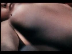'Sweet Taste of Honey' screenshot nº 95